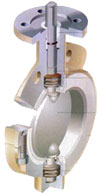 Butterfly Valve